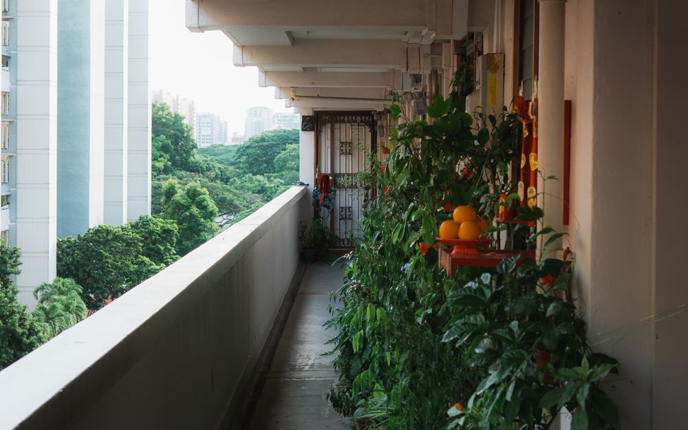 Long open corridor lined with container plants
