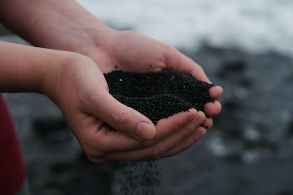 Cupped hands holding dark, crumbly growing medium