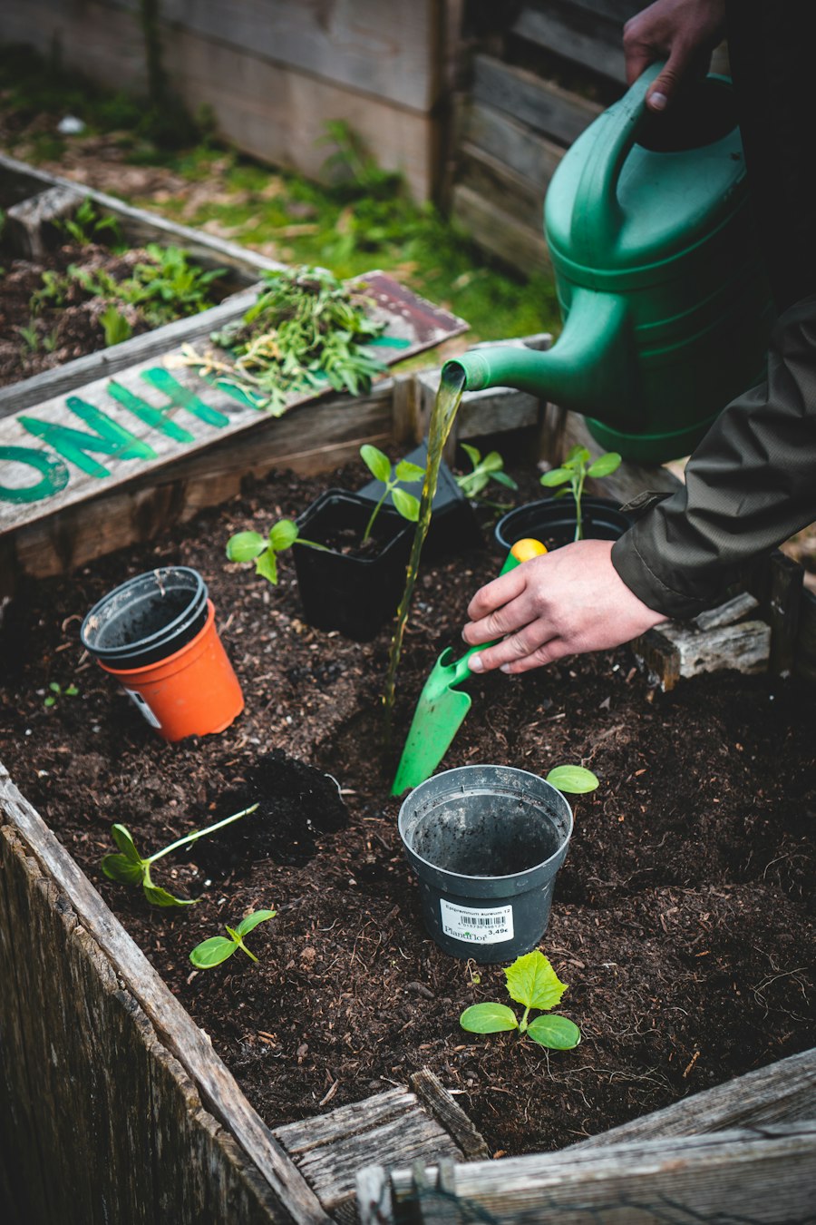 Person planting seedlings in a freshly filled raised bed