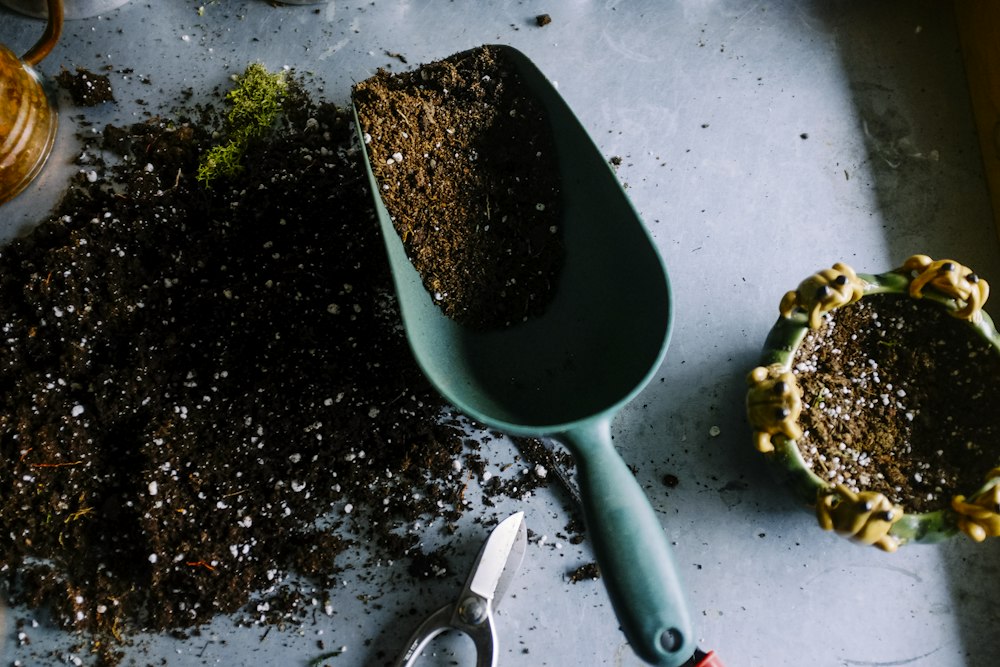 Garden scoop filled with potting mix beside a seedling pot