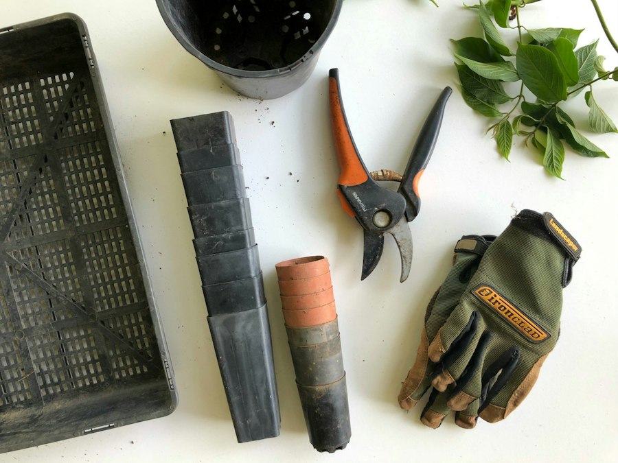 Pruning shears, gloves and planting tools laid out on a table