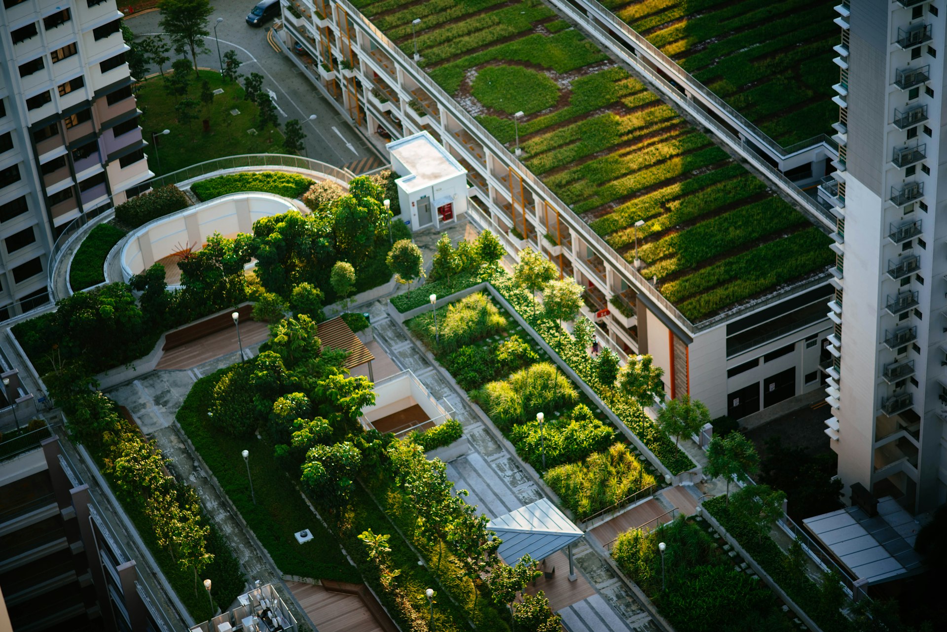 Aerial view of planted rooftop gardens across a residential building