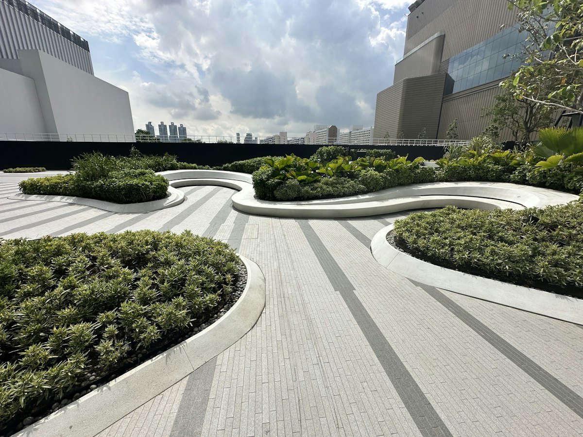 Landscaped rooftop with curved planting beds and a walkway